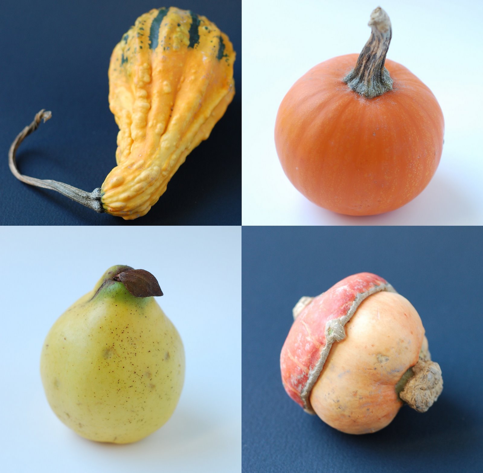 [autumn+harvest+foursome+stitch.jpg]