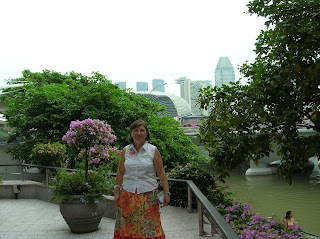 jardines, Singapur, Singapore, vuelta al mundo, round the world, La vuelta al mundo de Asun y Ricardo