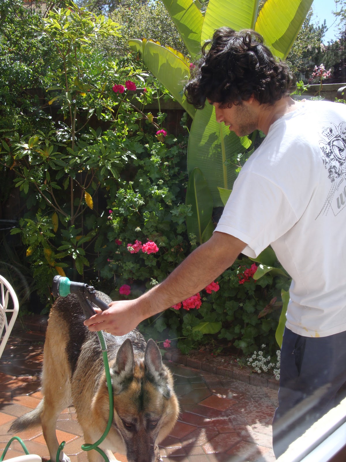 How to be Awesome, for Free How to Efficiently Wash a Big Dog with