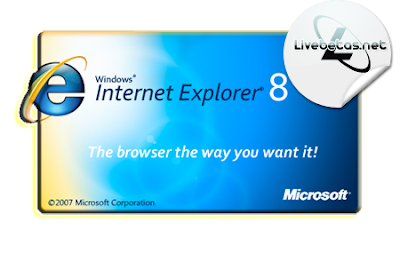 internet explorer 8 portable internet explorer 8 portable