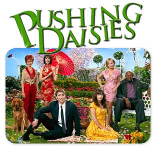 pushing_daisies_02.jpg
