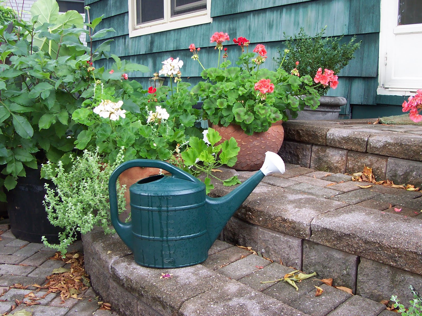Rouge River A Watering Can Repair