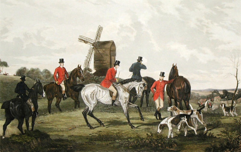 The Meet