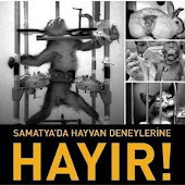 DENEYE HAYIR
