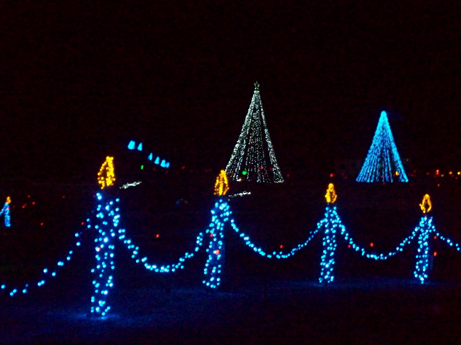 Youve Been Reviewed Shadrack Christmas Lights Knoxville, Tennessee 2009