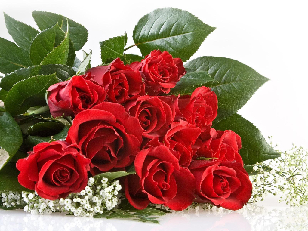 Love+Red+Roses.jpg