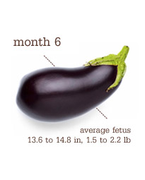 [Month+6--eggplant]