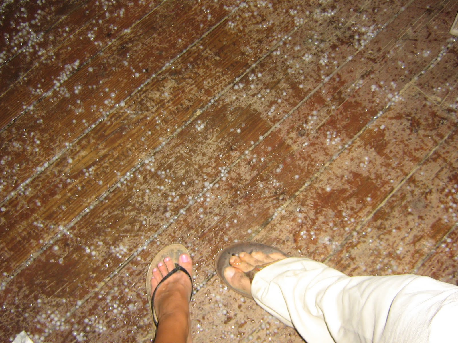 [Caitlin's+Camera+133.jpg]