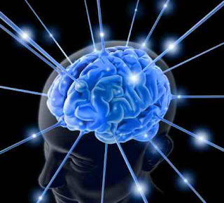 ذهن توسعه یافته