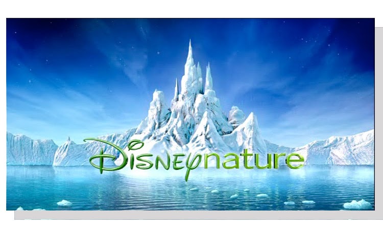 Sky Disney: Gets Back To Nature...