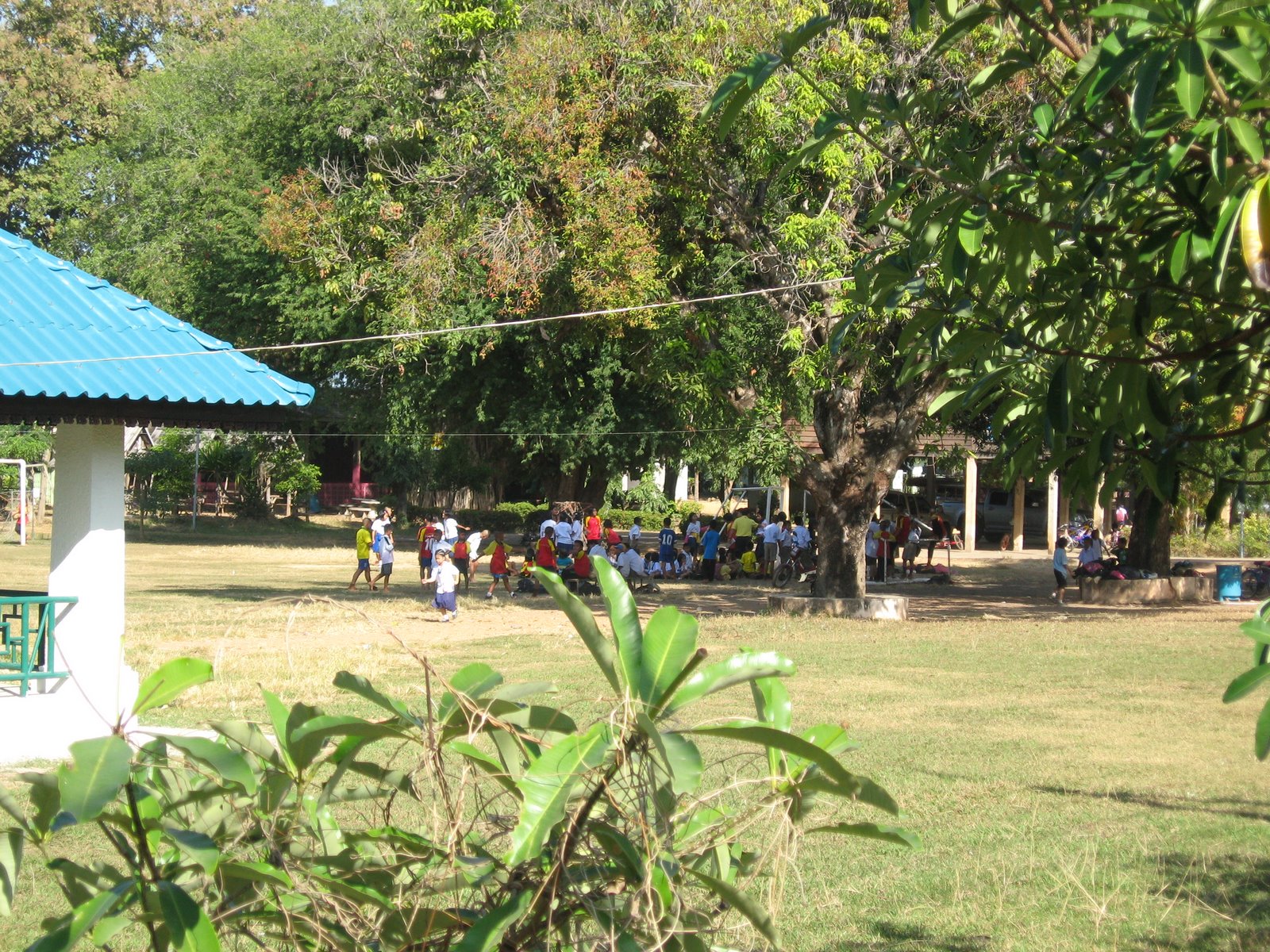 [IMG_1739.JPG]
