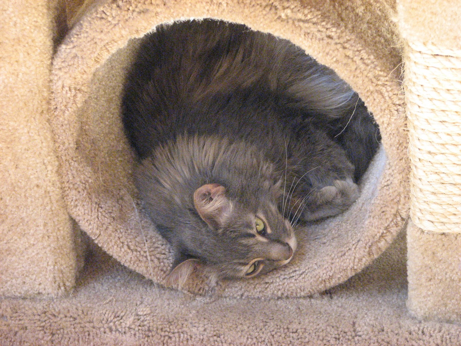 [Teddy+in+tunnel.JPG]