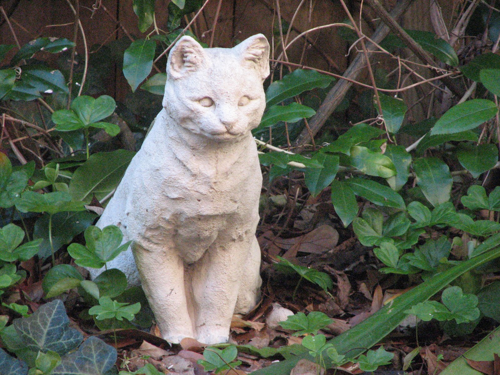 [Musashi+Statue.JPG]