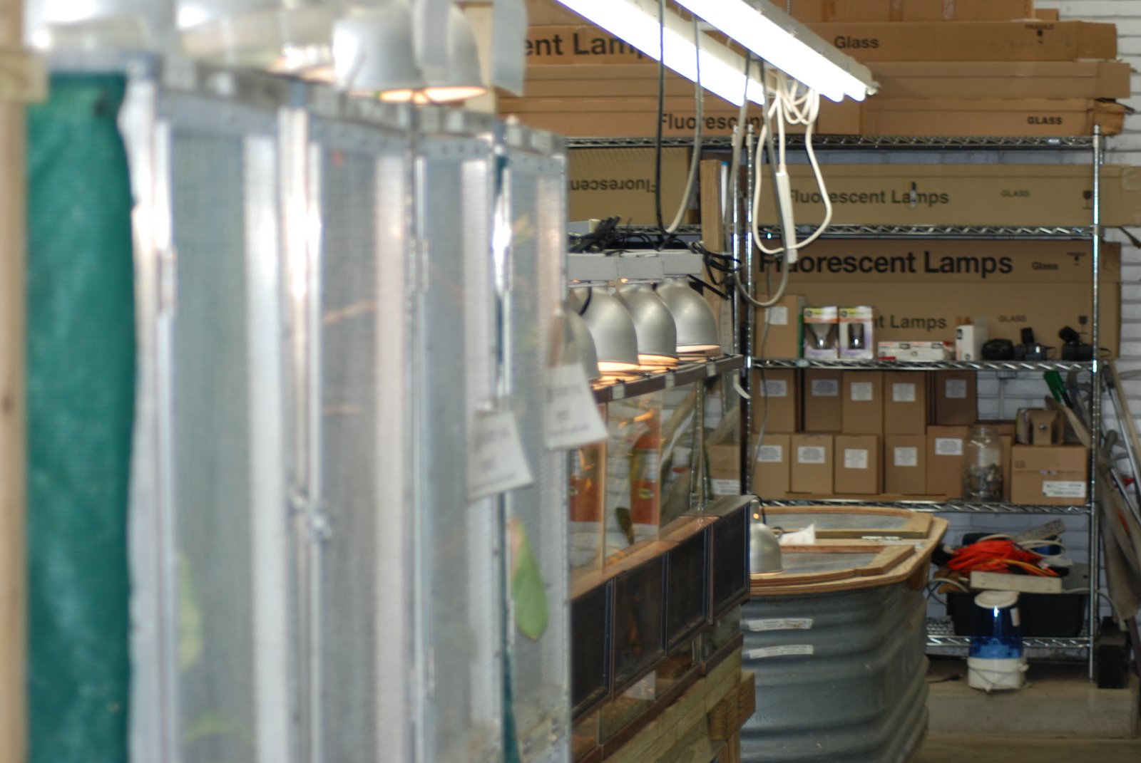 [behind+the+scenes.JPG]