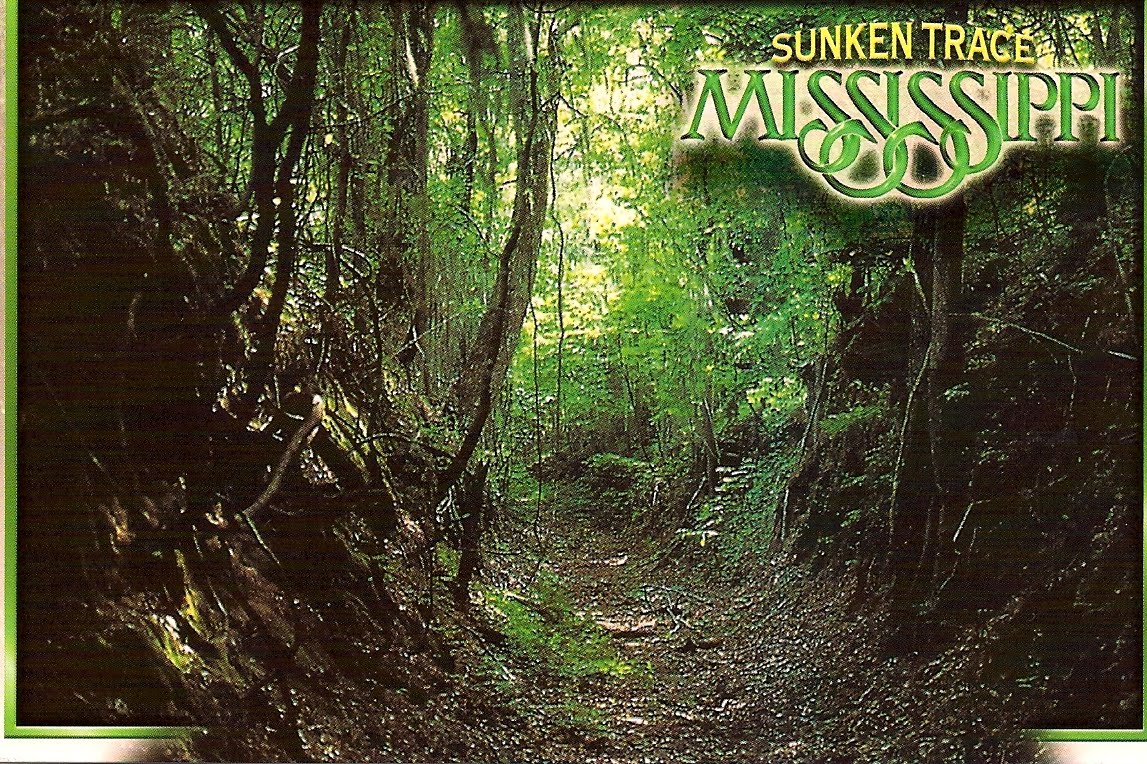 [Sunken+Trace.jpg]