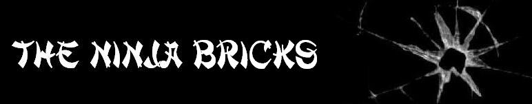 The Ninja Bricks