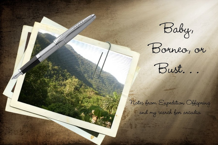 Baby, Borneo or Bust. . .
