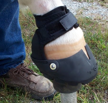 easyboot gaiter easyboot gaiter