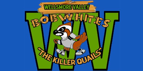 Wellsmore Valley High Open Blog