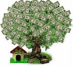If You Have Always Wanted A Money Tree
