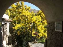 Il Giardino di Gerace