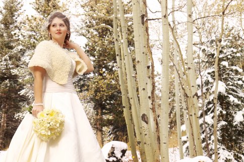 I came across this gorgeous Winter Wedding color scheme at The Perfect 