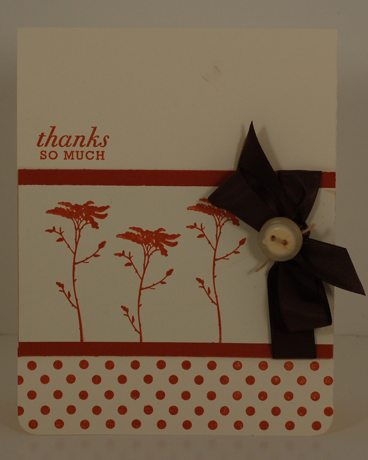 [DSC_0024_edited-1.jpg]