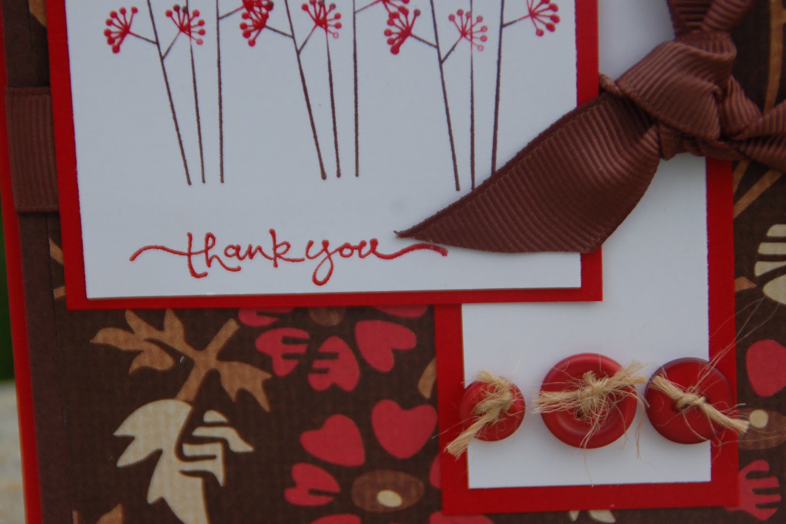 [DSC_0003_edited-1.jpg]