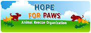 Amazing Animal Rescue Group in Los Angeles