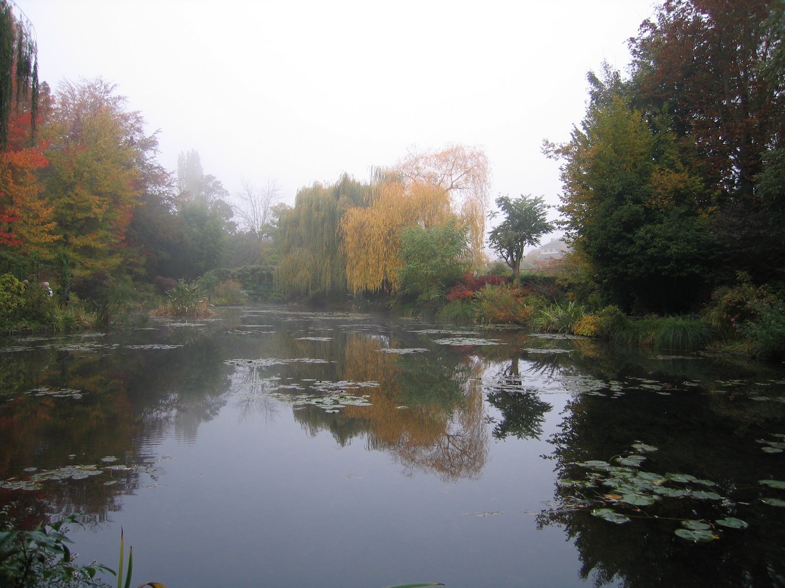 Our Life In The Country Fall Colors in France