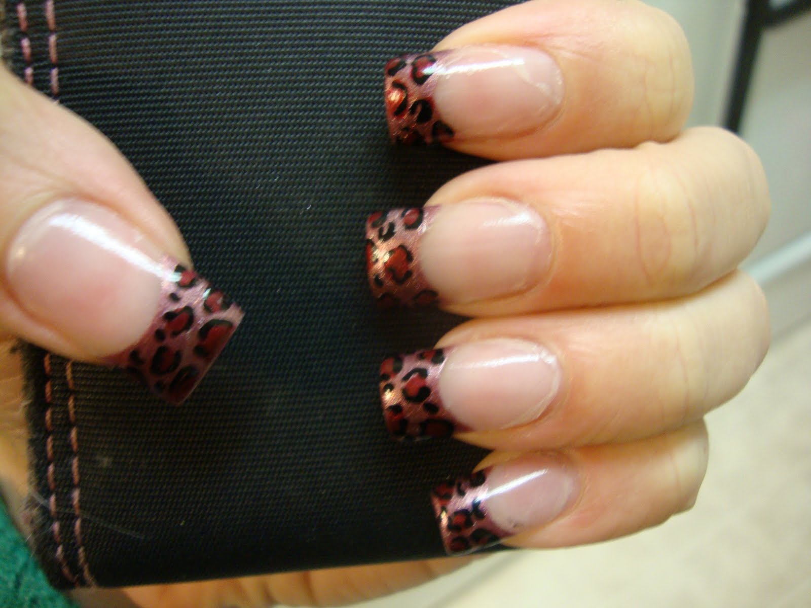 obsessed: The Search for a Perfect Cheetah Color Scheme