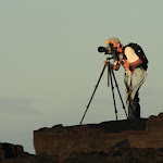 Filming coastal lava movie