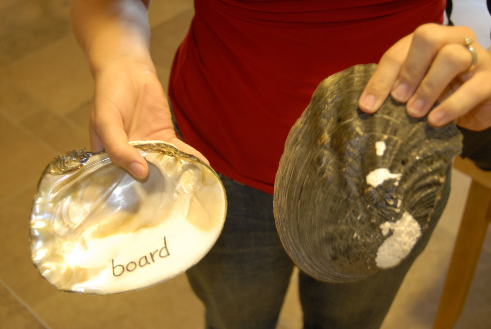 Small Travels and Musings Ohio River Islands National Wildlife Refuge