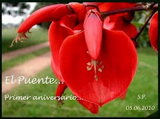 Flor de ceibo (Flor nacional de la República Argentina)