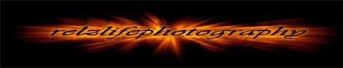 Relz Life Photography