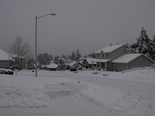 Oregon's winter snow storm