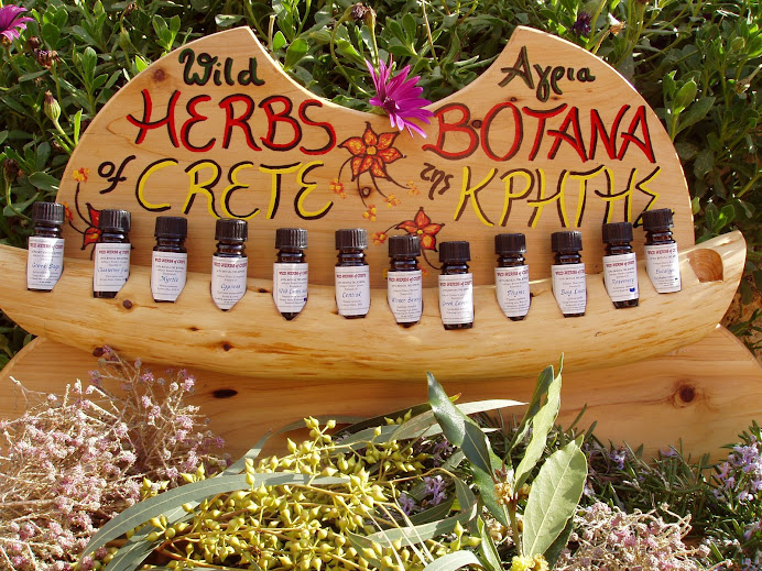Wild Herbs of Crete