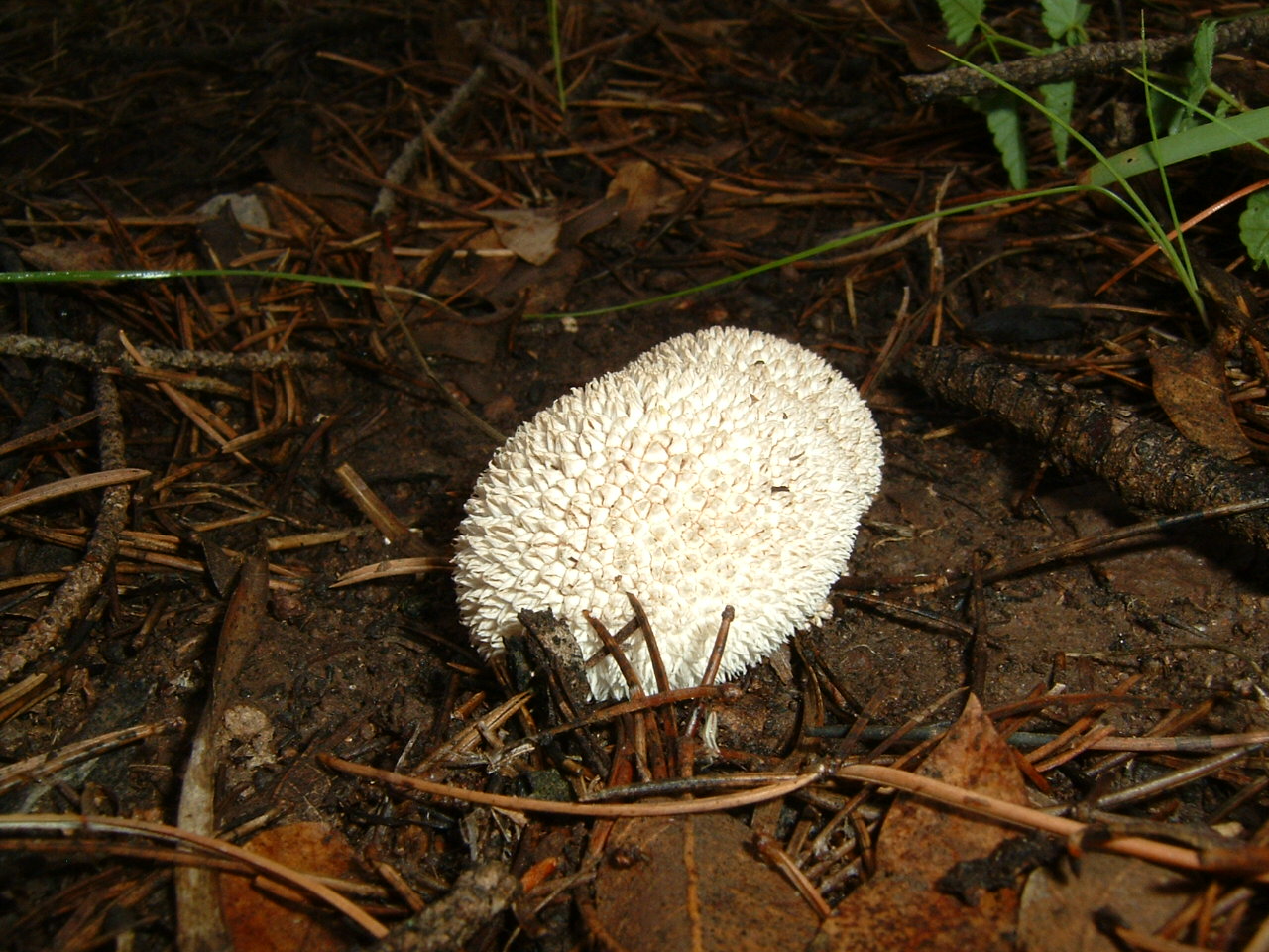 [DSCF0005.JPG]