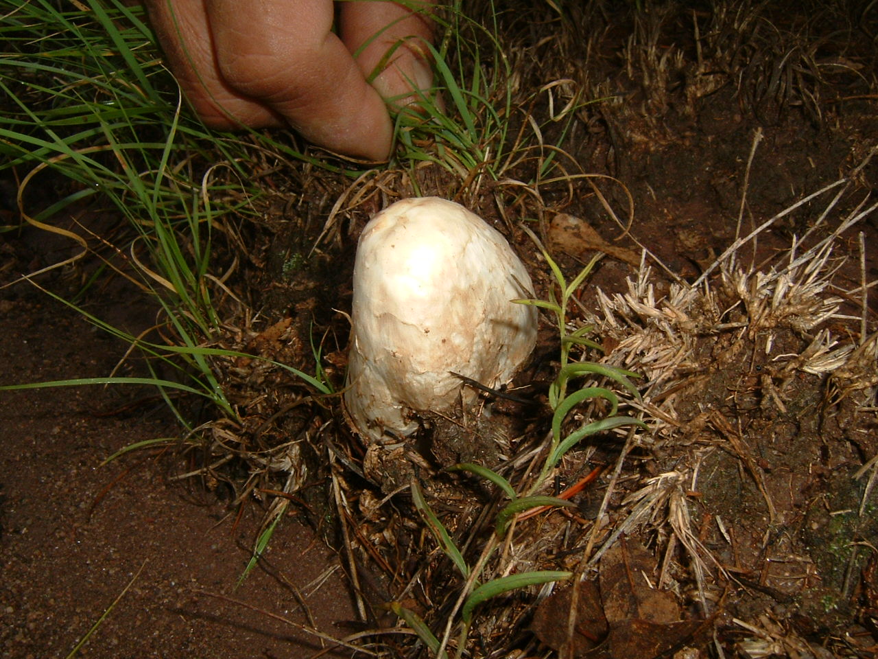 [DSCF0006.JPG]