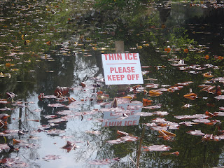 Sign saying Thin Ice in the middle of a lake