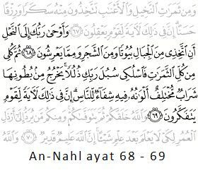 Surah Am-Nahl ayat 68 dan 69