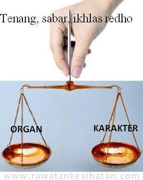 Organ dan Karakter adalah perkara yang seimbang