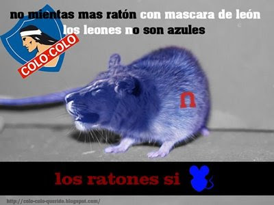 raton+azula+111.jpg