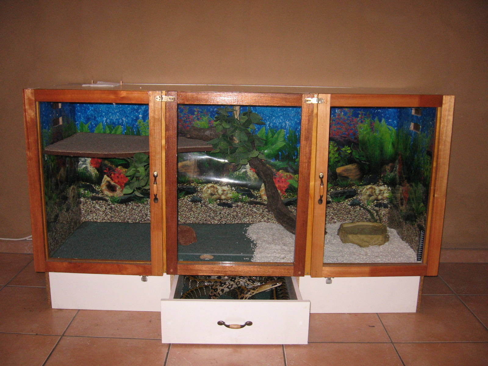 Zen Habitats Reptile Enclosure