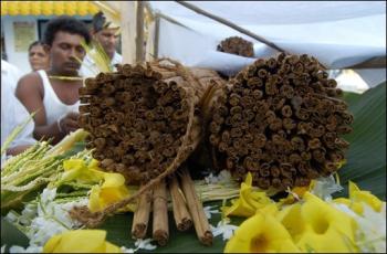 [cinnamonfarmers.jpg]