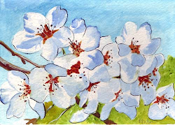 cherry blossom watercolor painting blossoms inches occasion special card