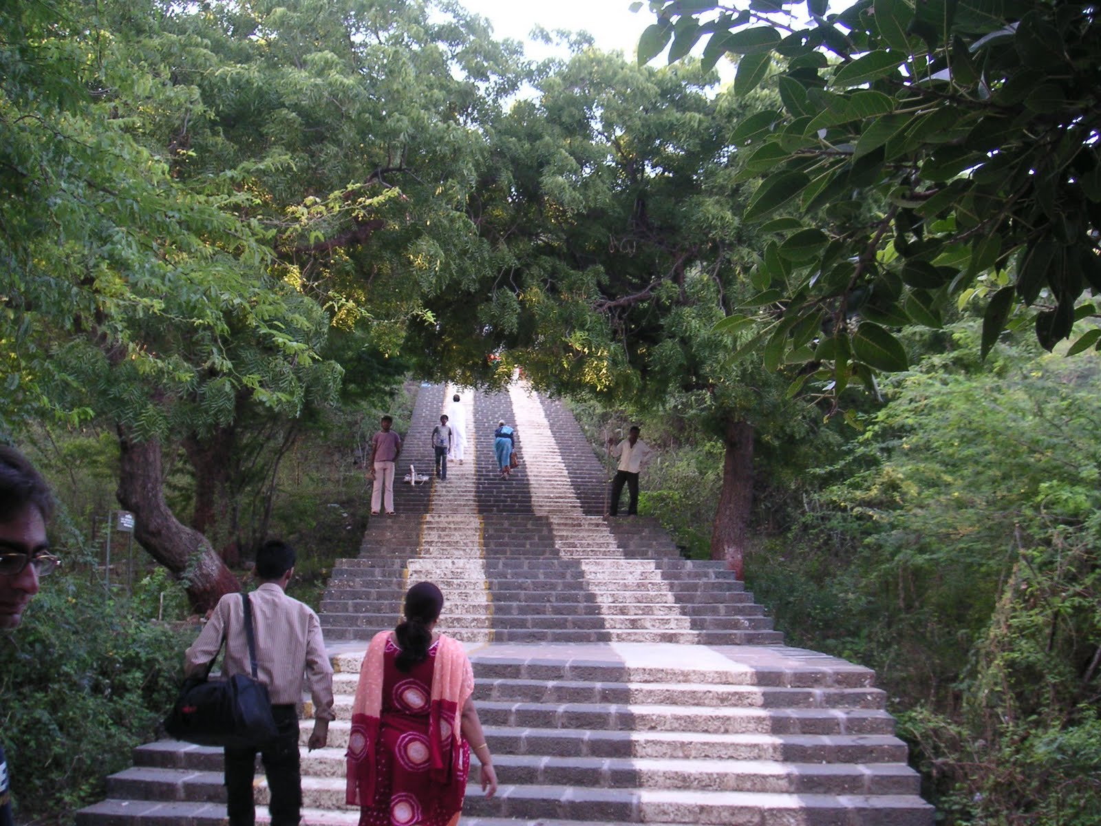 magnus-in-india-6-400-steps-in-palitana