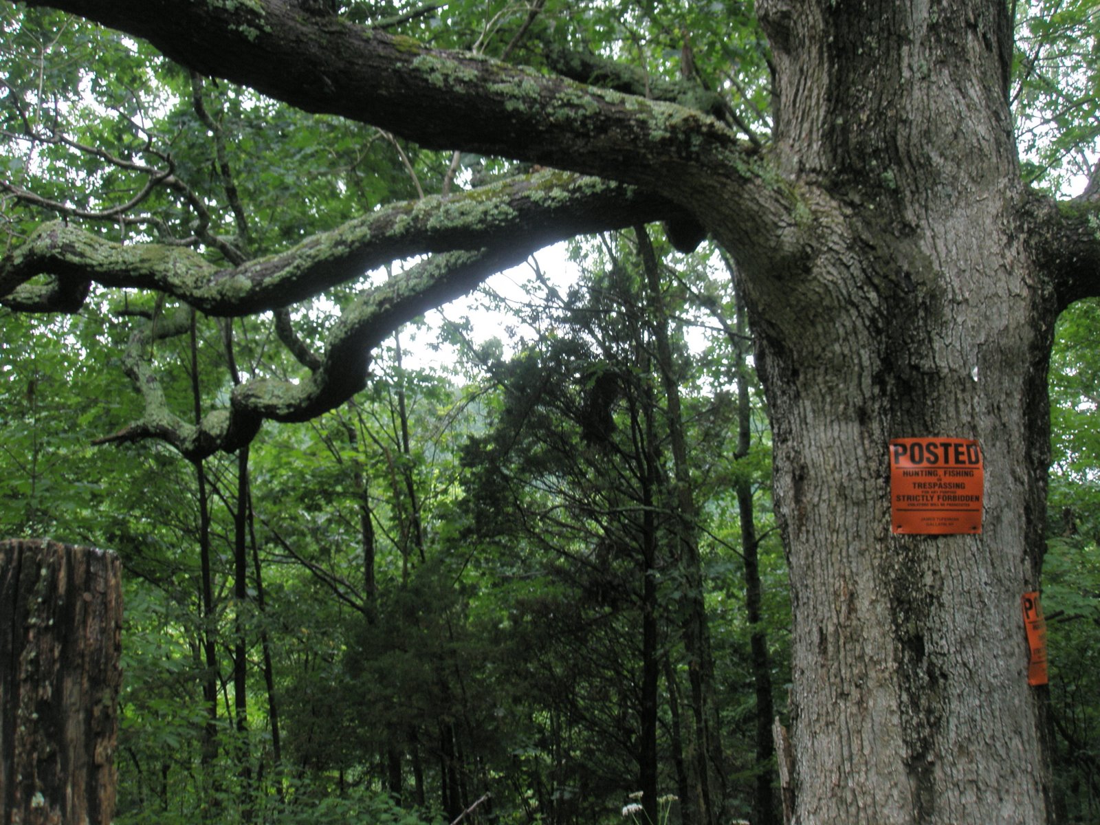 [Signal+Rock+from+Green+Hill+Rd.JPG]