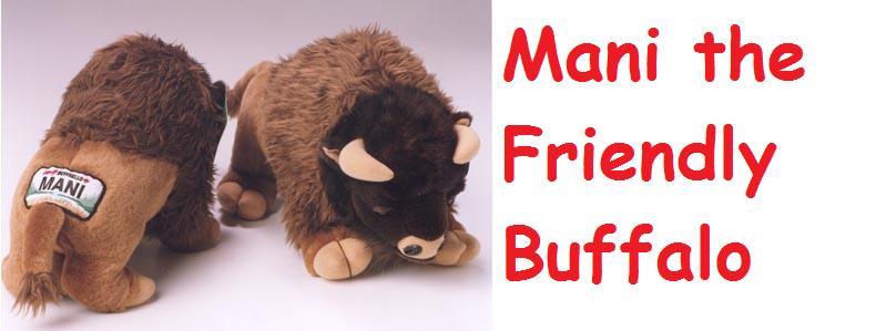 Mani the Friendly Buffalo