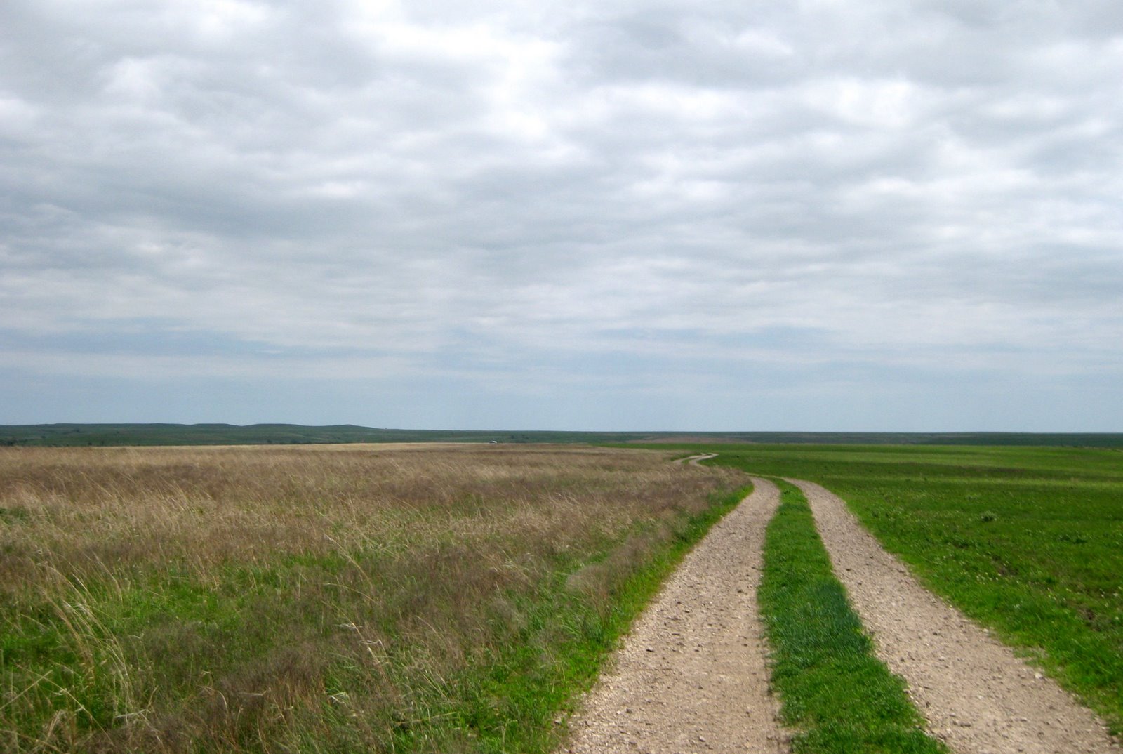 [kansas-tall-grass-prairie-natl-reserve.jpg]